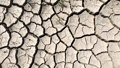 Aerial view of dry, cracked earth with visible soil texture and sparse vegetation, illustrating drought and environmental impact