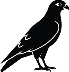 Ferruginous Hawk silhouette vector art illustration