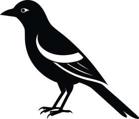 Golden Oriole silhouette vector art illustration