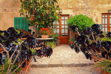 Valldemossa typical village with plants pots in facades at Mallorca island, Spain