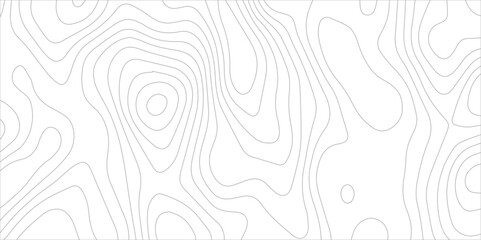 Abstract topographic white background. Seamless wavy lines patter. Geography map grid backdrop. Business concept design. Wave paper curved reliefs background.  © Vector man