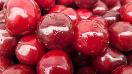 Fresh ripe cherries close-up with water drops, vibrant red summer fruit background