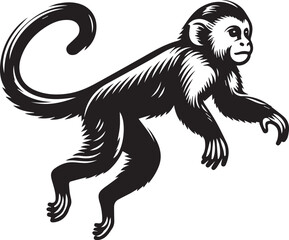 Obraz premium Capuchin Monkey Simple Black and White Vector Illustration