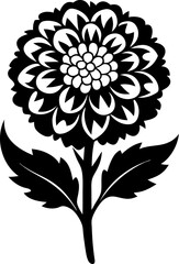 black and white sunflower