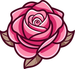 pink rose isolated on white