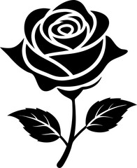 black rose vector illustration