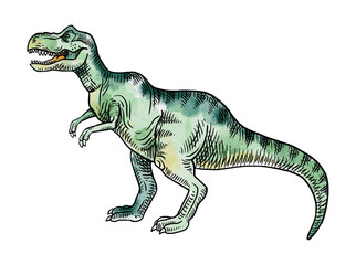 Watercolor hand drawn dinosaur illustration. Painted sketch isolated prehistoric animal
