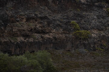 volcanic arid landscapes with trils, cliffs, and scattedred vegetation.