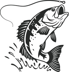 fish on a white
