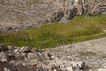 volcanic arid landscapes with trils, cliffs, and scattedred vegetation.