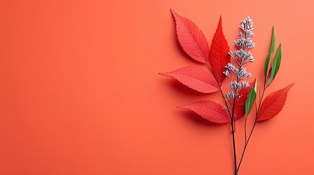 Beautiful plant with red and green leaves is placed on a red background. The plant is surrounded by red leaves, creating a vibrant and eye-catching display. The red background adds a pop of color - Powered by Adobe
