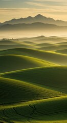 Rolling green hills of Palouse with distant mountains under hazy golden light.