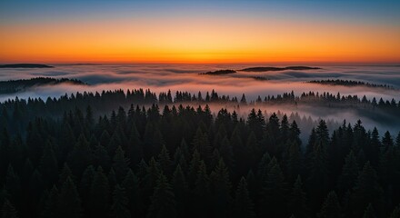 Obraz premium Serene Sunset Over Foggy Forest Aerial View.
