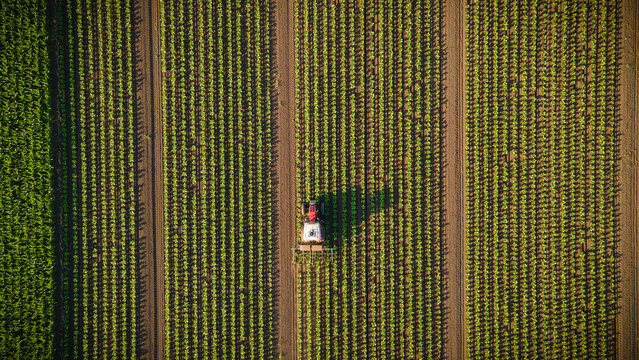 An aerial shot captures a tractor working through vibrant green crop fields in perfect straight lines.