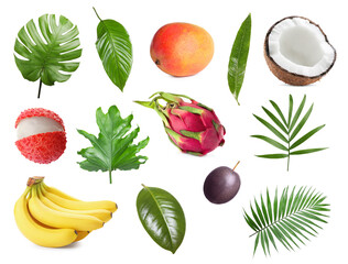 Tropical leaves and fruits isolated on white, set