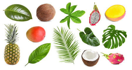 Tropical leaves and fruits isolated on white, set