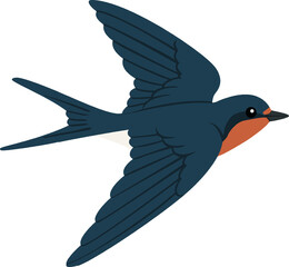 Welcome Swallow (Hirundo neoxena) - Original Clean-Line Clipart with Transparent Background