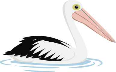 Australian Pelican (Pelecanus conspicillatus) - Original Clean-Line Clipart with Transparent Background