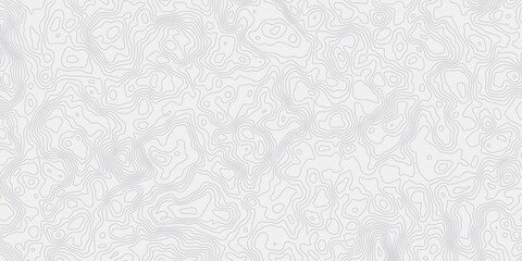 modern wavey contour out map line topography white and grey curved line white background. 