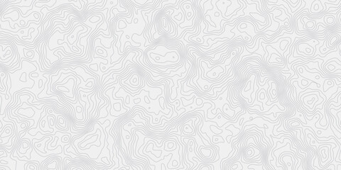 modern wavey contour out map line topography white and grey curved line white background. 