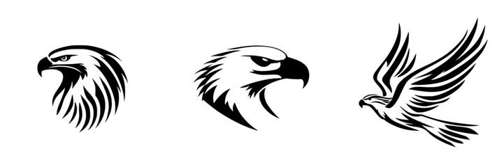 Obraz premium Stylized black icons of hawks featuring different designs and perspectives captured during a creative graphic illustration session