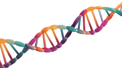 A 3D rendering of a DNA double helix. The helix is depicted in vibrant, multicolored segments, against a pure white background. The image is a stylized representation, not a photorealistic