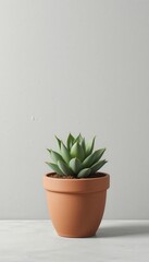 Fototapeta premium Emerald rosette resting serenely in terracotta home, a miniature desert oasis on the cool grey table
