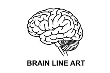 human brain vector illustration