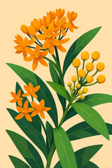 The image features a stylized, digital illustration of Asclepias curassavica, commonly known as Tropical Milkweed or Scarlet Milkweed. The plant is shown in full bloom with clusters of vibrant orange 