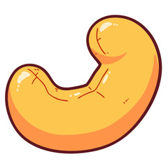 One ripe roasted cashew nut, doodle cartoon clip art, isolated clean and simple vector illustration