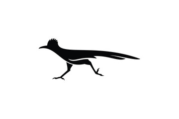 roadrunner logo design vector illustration. roadrunner silhouette logo template	