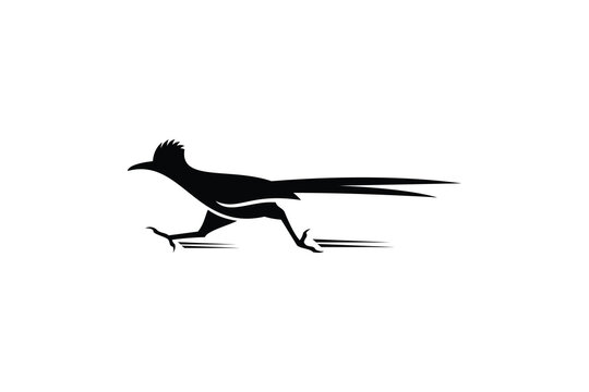 roadrunner logo design vector illustration. roadrunner silhouette logo template	