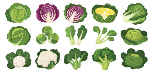 Assortment of fresh vegetables collection