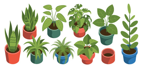 Collection of houseplants in colorful pots