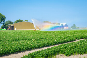 Rainbow colors in the water of a sprinkler system