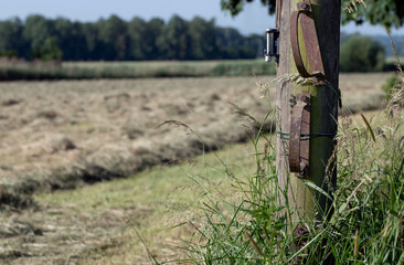 A summer pasture in Bavaria. In the foreground, an old wooden post marks a driveway. In the background, freshly harvested hay lies drying in the meadow.