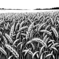 Wheat field in a hand drawn ink style in black and white
