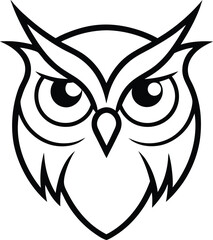 owl on white background