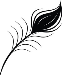 black and white floral design