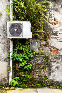 Air conditioner and plants in Georgetown, Malaysia