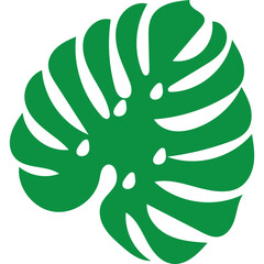 Obraz premium Tropical Monstera Leaf