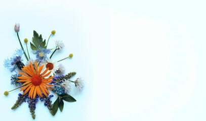 A summer bouquet. Wildflowers. A flower arrangement with a place for text.
