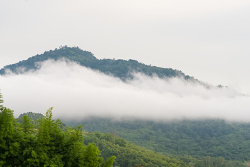 Scenic view of lush green mountain partially covered by mist with a foreground of trees under a cloudy sky