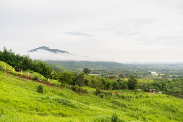 Scenic view of lush green hills with fog-covered mountains in the background under a cloudy sky