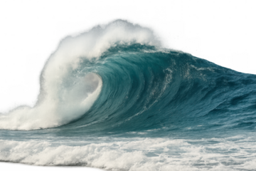 Powerful ocean wave curling and breaking with transparent background, perfect for compositing and visual effects
