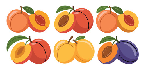 Assorted fresh peaches and plums fruit illustration