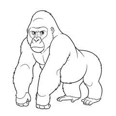 Cross River Gorilla – Gorilla gorilla diehli. Gorilla animal sketch sits calmly amidst tall green grass. Wildlife forest concept. A detailed sketch of a gorilla sitting calmly amidst tall green grass