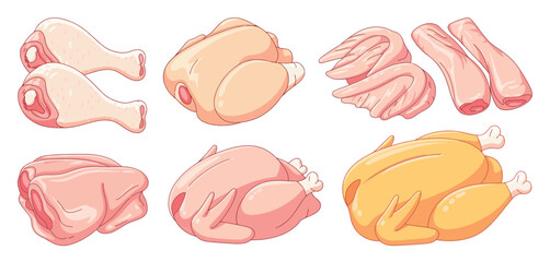 Assorted raw chicken cuts for cooking