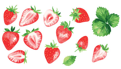 Strawberry Vector Set with Transparent Background