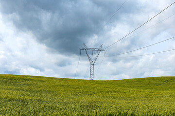 A wide green agricultural field sown with cereal crops under a cloudy sky. High-voltage...